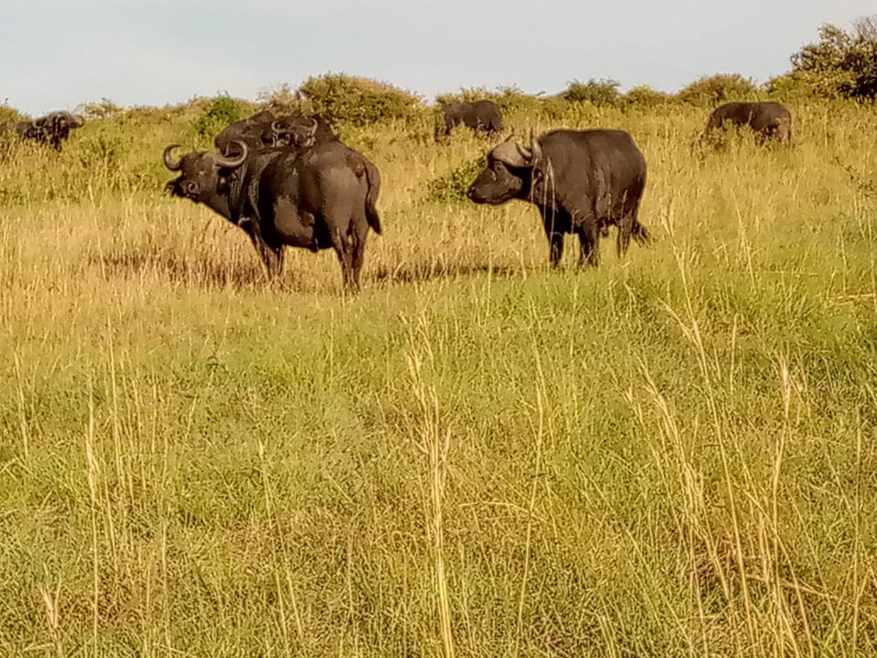 Nairobi