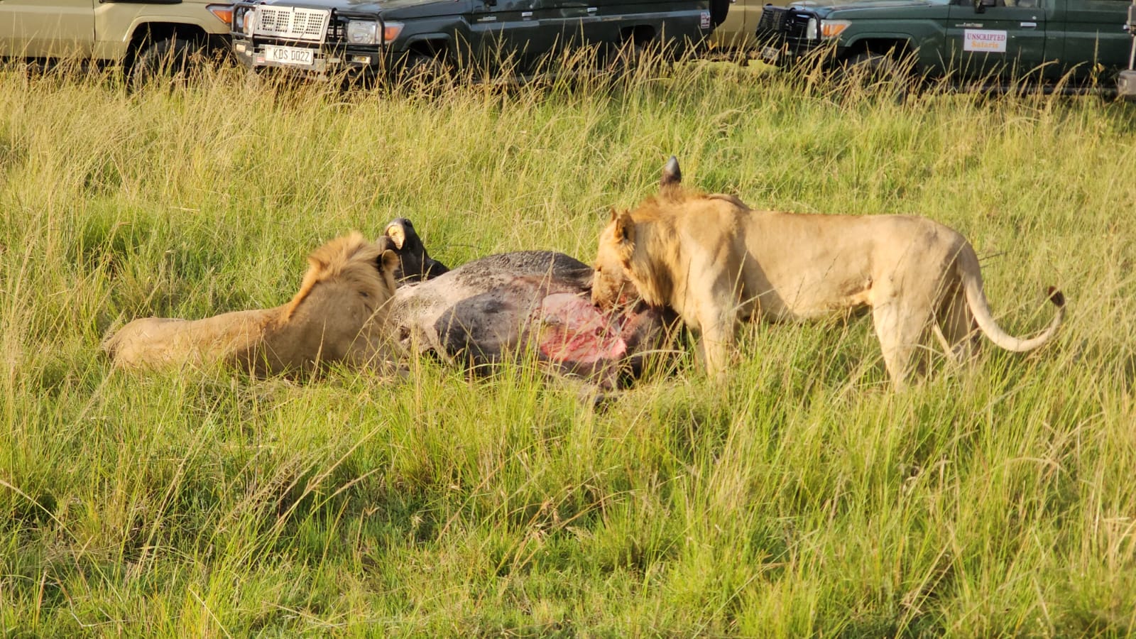 3 Days Tsavo East & West